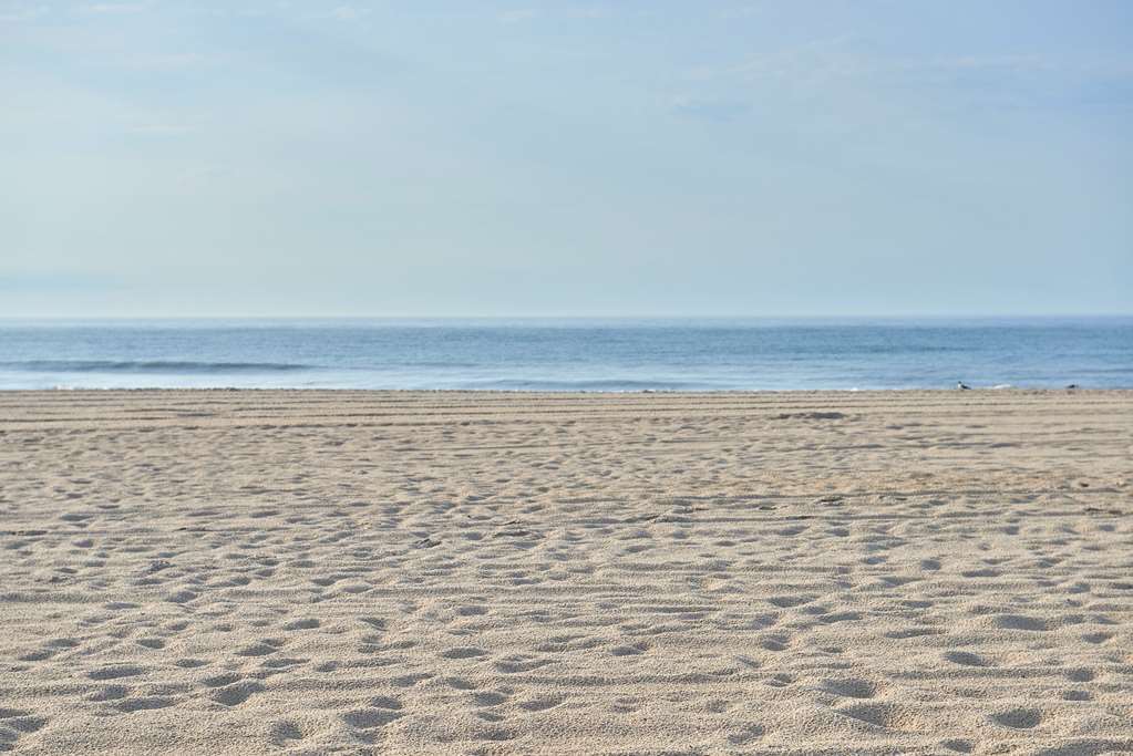 Drifting Sands Oceanfront Hotel Ship Bottom Bagian luar foto